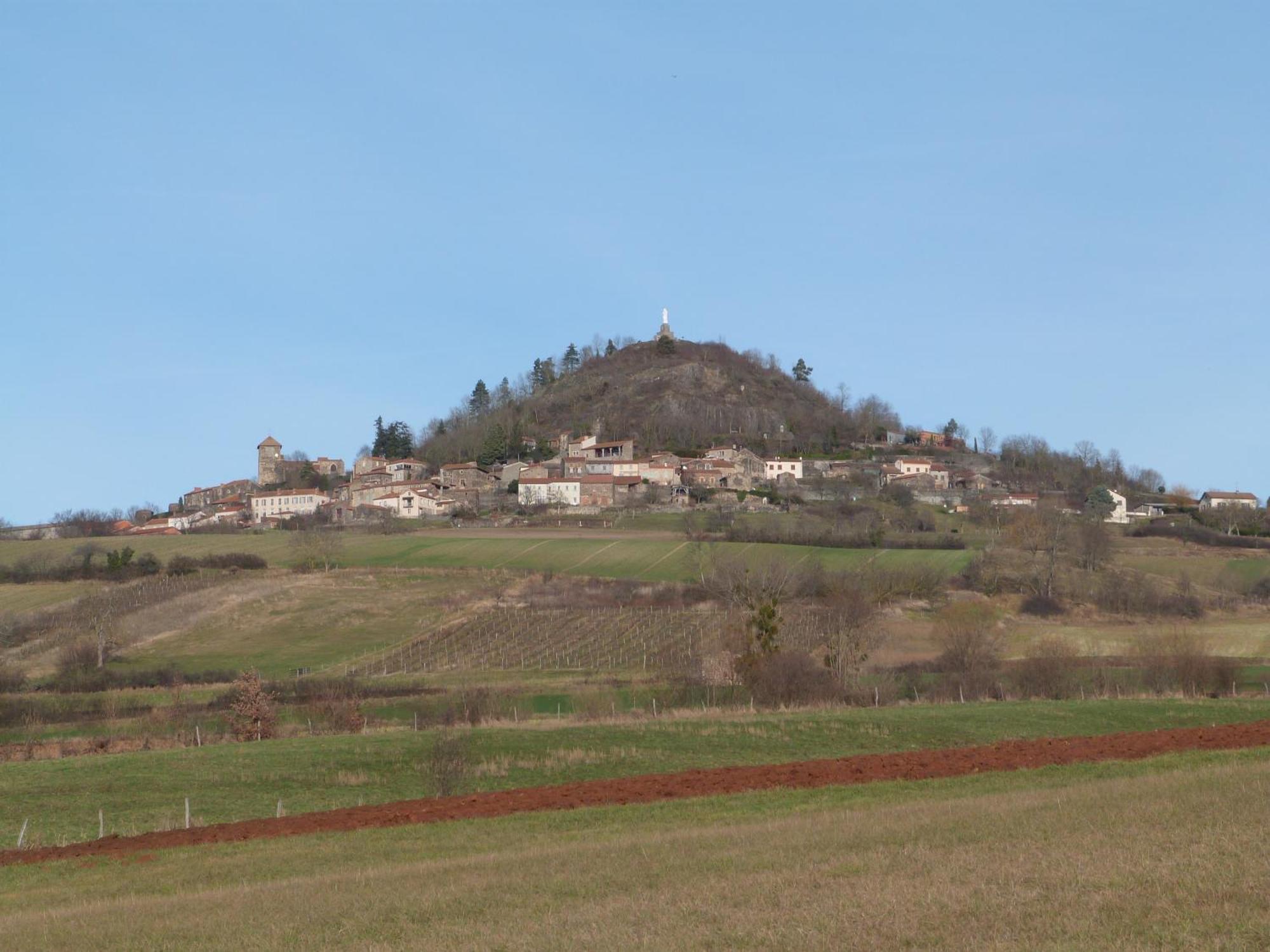 Chateau Des Aiguilles Saint-Remy-de-Chargnat Екстер'єр фото